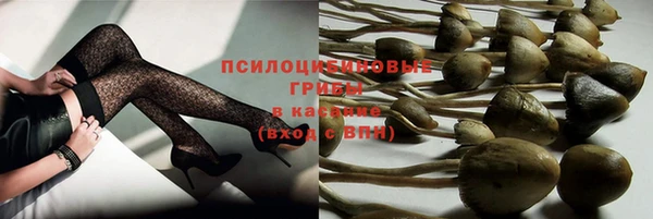 ешки Армянск